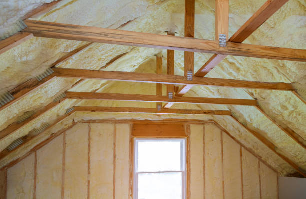 Best Insulation Repair Services  in Pagedale, MO
