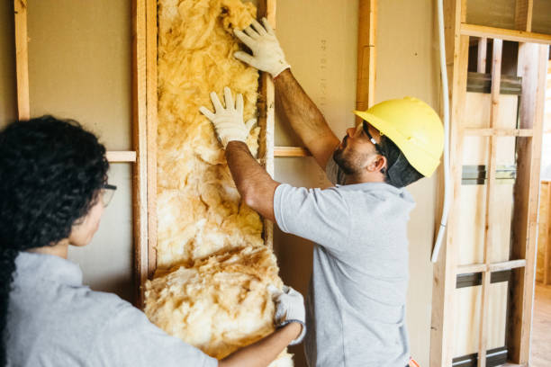 Best Local Insulation Services  in Pagedale, MO