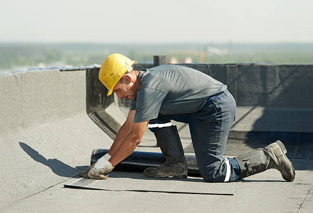 Best Crawl Space Insulation  in Pagedale, MO