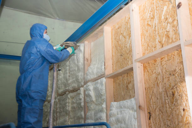 Best Home Insulation Services  in Pagedale, MO