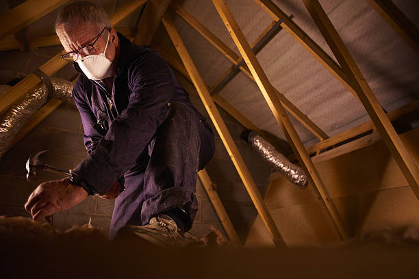 Best Insulation Replacement Services  in Pagedale, MO