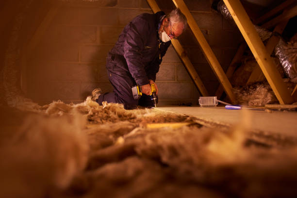 Best Insulation Contractor Near Me  in Pagedale, MO