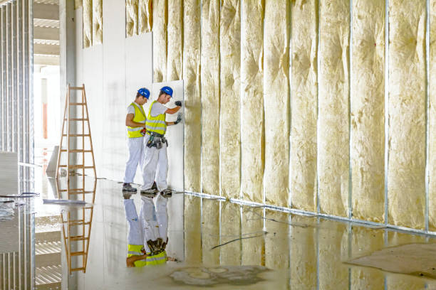 Best Cellulose Insulation  in Pagedale, MO